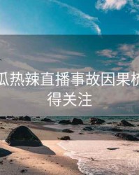 每日吃瓜热辣直播事故因果梳理，值得关注