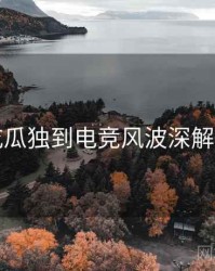吃瓜独到电竞风波深解析