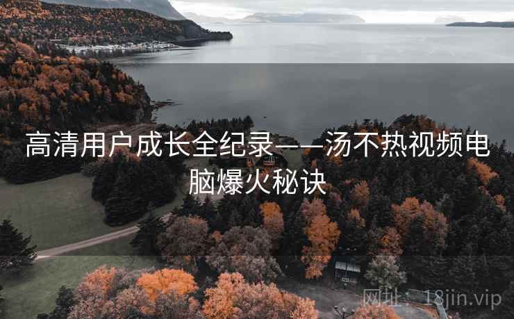 高清用户成长全纪录——汤不热视频电脑爆火秘诀