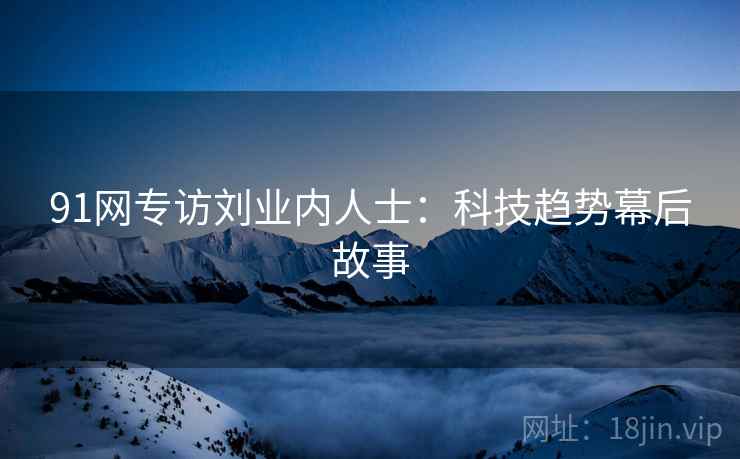 91网专访刘业内人士：科技趋势幕后故事