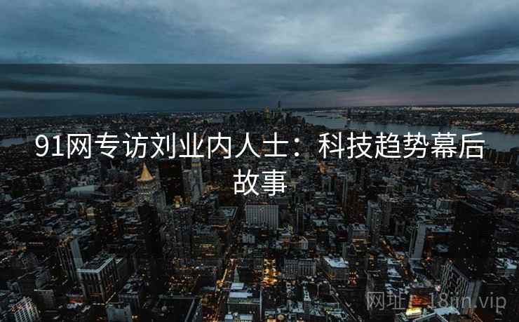 91网专访刘业内人士：科技趋势幕后故事