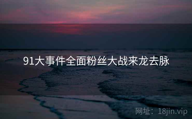 91大事件全面粉丝大战来龙去脉