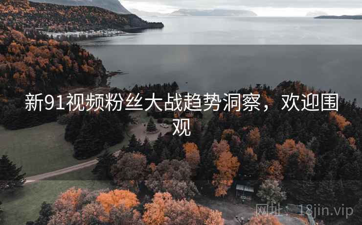 新91视频粉丝大战趋势洞察，欢迎围观