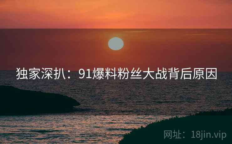独家深扒：91爆料粉丝大战背后原因