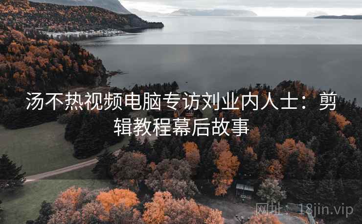 汤不热视频电脑专访刘业内人士：剪辑教程幕后故事